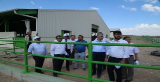 İlçelere Ekonomik Destek İçin Örnek Proje