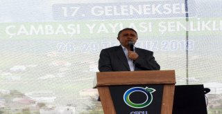 Çambaşı Yaylası Festivali 2Nci Gününde