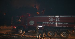 Sivastaki Orman Yangını Kontrol Altına Alındı