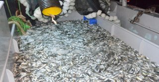 Silivrili Balıkçılar “Vira Bismillah” Dedi