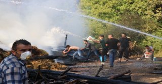 Samanlıkta Çıkan Yangın 1 Ev 4 Samanlığı Kullanılamaz Hale Getirdi
