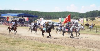 Ata Sporları Rekor Kırdı