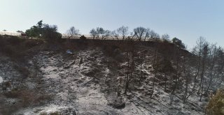 Antalyada Yangının Ardından Ürküten Manzara