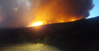Kastamonuda Ormanlık Alanda Çıkan Yangın Devam Ediyor
