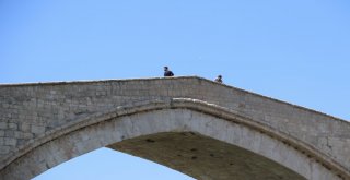 Tarihin Eskitemediği Köprü: Malabadi