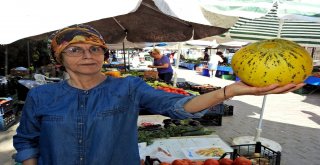 Taşeronun Kazandığı Fahiş Fiyatlara Üretici Darbesi