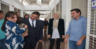 Milletvekili Beklenin Hayvan Hakları Duyarlılığı
