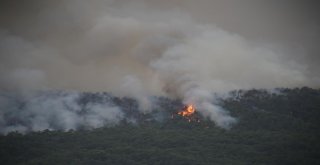 Hataydaki Orman Yangını Yerleşim Bölgesini Tehdit Ediyor