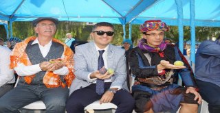 İncir Festivali Renkli Görüntülere Sahne Oldu