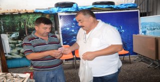 Derede Yakalanan 1,5 Metre Uzunluğundaki Balık Şaşkına Çevirdi
