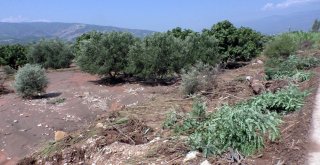 Buharkentte Selin Yaraları Sarılıyor