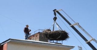 Sağlık Merkezindeki 54 Yıllık Leylek Yuvası Vinçle Taşındı