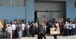 Tarsusta Meyve Üreticilerine Sinek Tuzağı Dağıtıldı