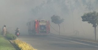 İzmirde Ot Yangını Paniğe Sebep Oldu