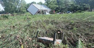 Selin Vurduğu Ballıkayalar Gündüz Görüntülendi