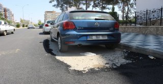 Adıyamanda Fıkra Gibi Asfaltlama