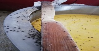 Depoya Giren Zabıta Ekipleri Gözlerine İnanamadı