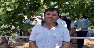 Ferrero, Fındık Üreticilerini Bahçelerde Bilgilendiriyor