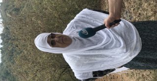 Üreticisinin Kabusu ‘Amerikan Beyaz Kelebeği Fındıkları Sardı