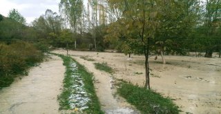 Sivasta Tarım Arazileri Sular Altında Kaldı