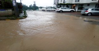 Ordu Yine Sele Teslim Oldu