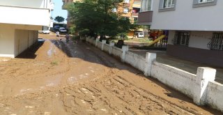 Trabzonda Selin Ardından Temizleme Çalışmaları Başladı