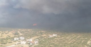 Çanakkale Yangınında Dehşete Düşüren Görüntüler