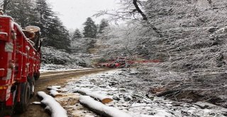 Yenice Ormanlarına İlk Kar Düştü