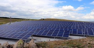 Çiğdemli Belediyesi Kendi Elektriğini Üretiyor