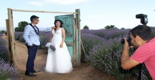 Türkiyenin Doğal Fotoğraf Stüdyosu Lavanta Tarlalarında Düğün Turizmi