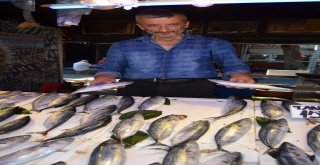 Karadenizli Balıkçılara Hava Engeli