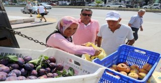 Mezitlide Şeftaliler Üreticiden Direk Tüketiciye Ulaşıyor