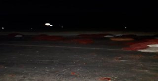 Devrilen Kamyonun Kasasındaki Tonlarca Biber Yola Saçıldı