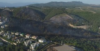 Bursanın Yanan Ciğerleri Havadan Görüntülendi