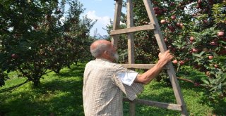 75 Yaşındaki Dede Gençlere Taş Çıkartıyor
