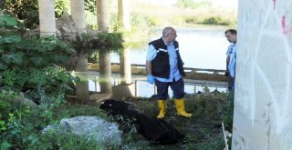 Kızılırmakta Erkek Cesedi Bulundu