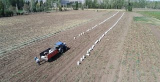 Üreticilerden Vatandaşlara: Patatesi Tarlatan Al, Stokçunun Zam Oyununu Boz