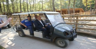 (Özel) Prof. Dr. Ahmet Haluk Dursun “Millet Bahçesi” Projesinin Detaylarını Açıkladı