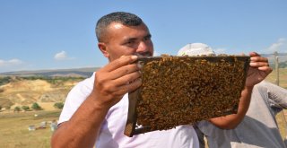 Arıcı Çift, Bal Üreterek Geçimlerini Sağlıyor