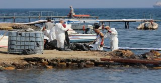 Foçadaki Çevre Felaketinde Temizlik Çalışmaları Devam Ediyor