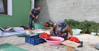 Yozgatta Kışlık Salça Yapımı Başladı