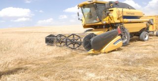 Bulanıkta Biçerdöverler Denetlendi