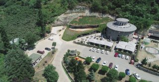 Trabzonda 450 Kişilik Hobbit Evi Yapıldı