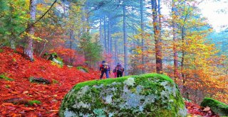 Keşif Yolcuları Kazdağlarında Sonbahar Renklerinin Peşinde