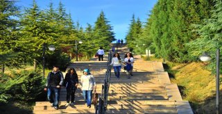 Saüde Kontenjanların Tamamına Yakını Doldu