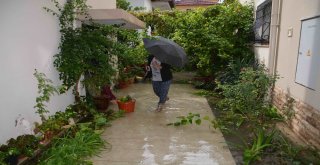 Ortacada Şiddetli Yağış Hayatı Olumsuz Etkiledi