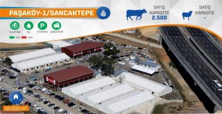 İbb, Kurban Bayramına Hazır