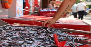 Eskişehirde Balıklar Tezgaha İndi