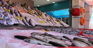 Eskişehirde Balıklar Tezgaha İndi