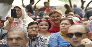 Bursada 5. Gedelek Turşu Festivali